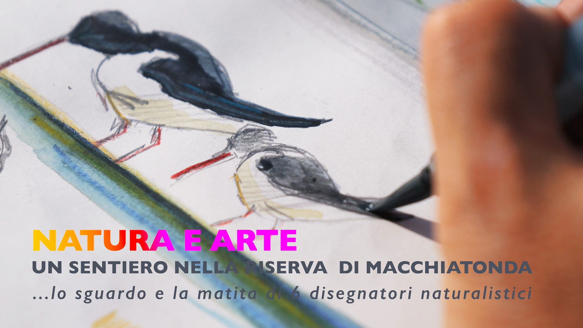Natura e Arte: il nuovo sentiero naturalistico di Macchiatonda