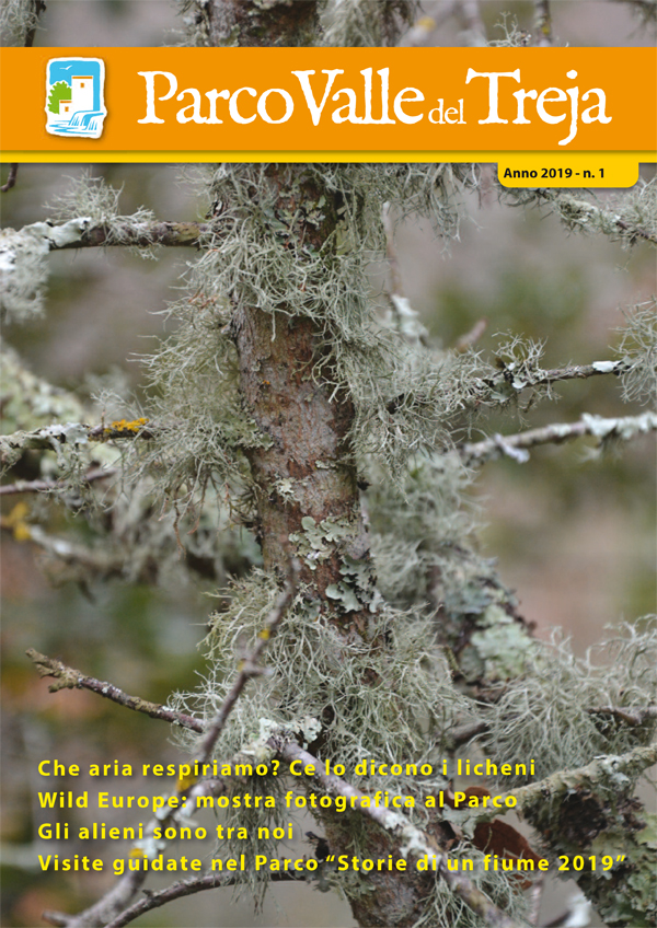 Copertina giornale marzo 2019