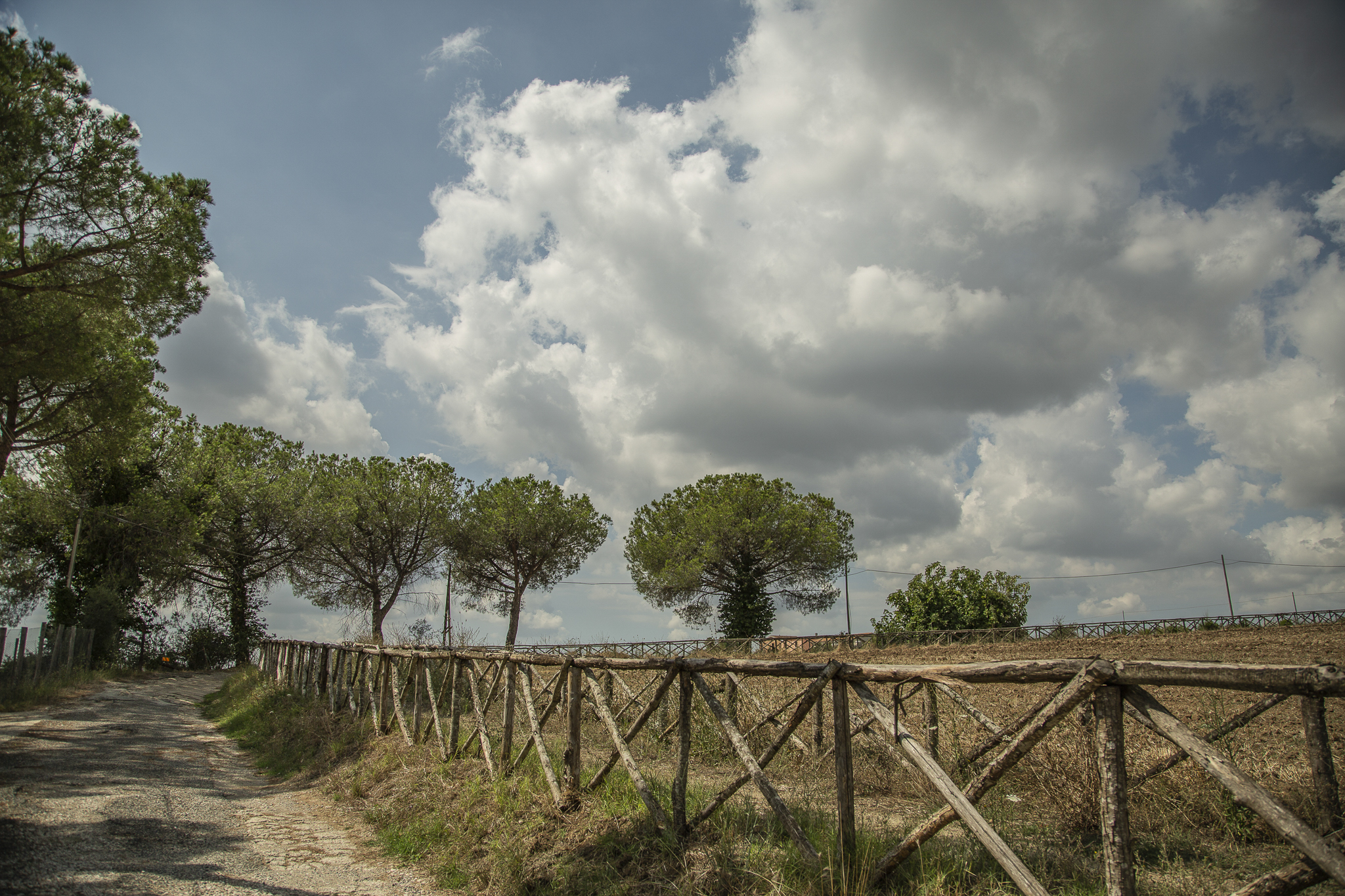 Percorriamo la via Francigena – Fotografie di Andrea De Ieso
