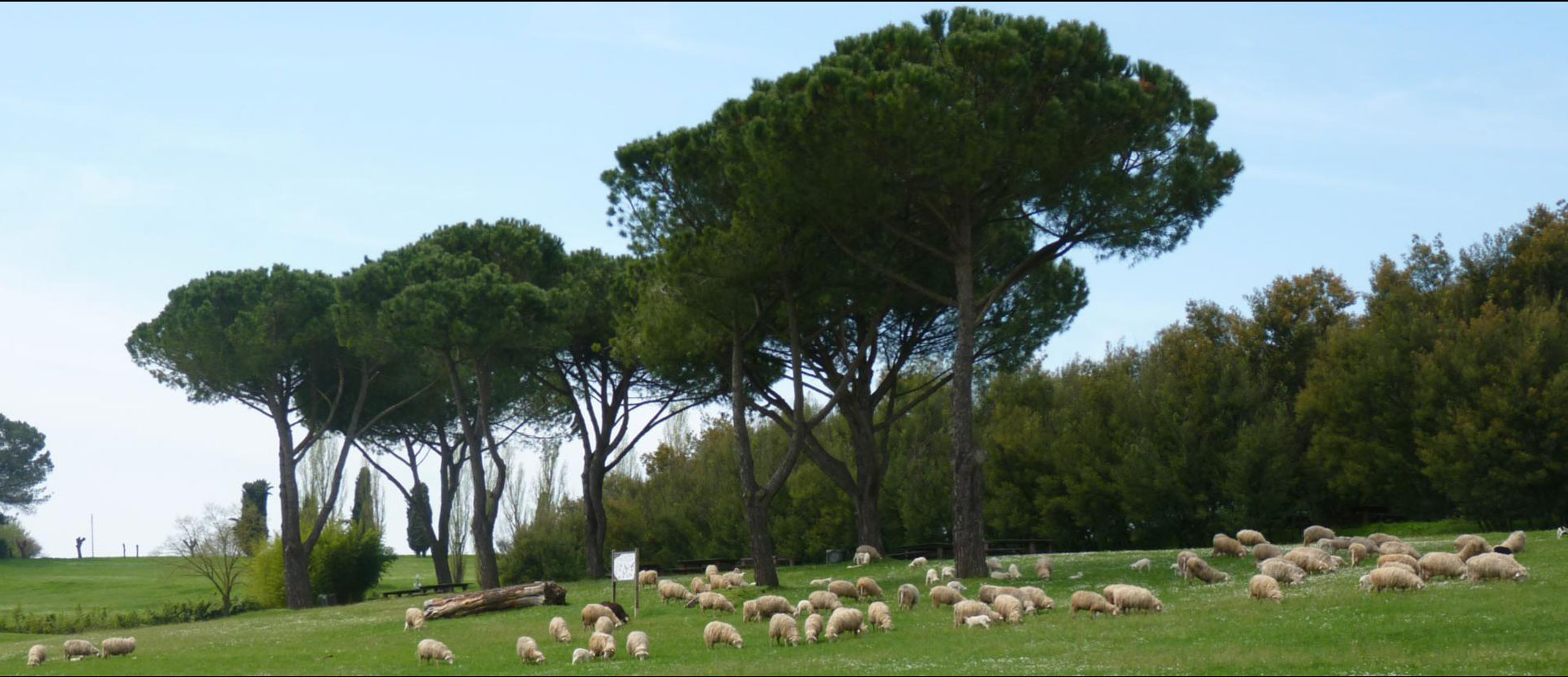 Natura in Campo: Conferimento del marchio a 40 produttori nel territorio di Paliano