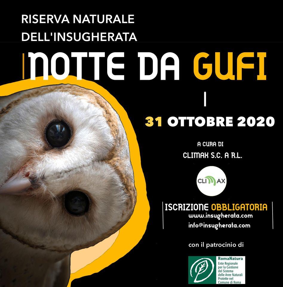31 ottobre