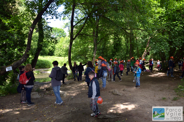 Una visita guidata - foto Archivio Parco