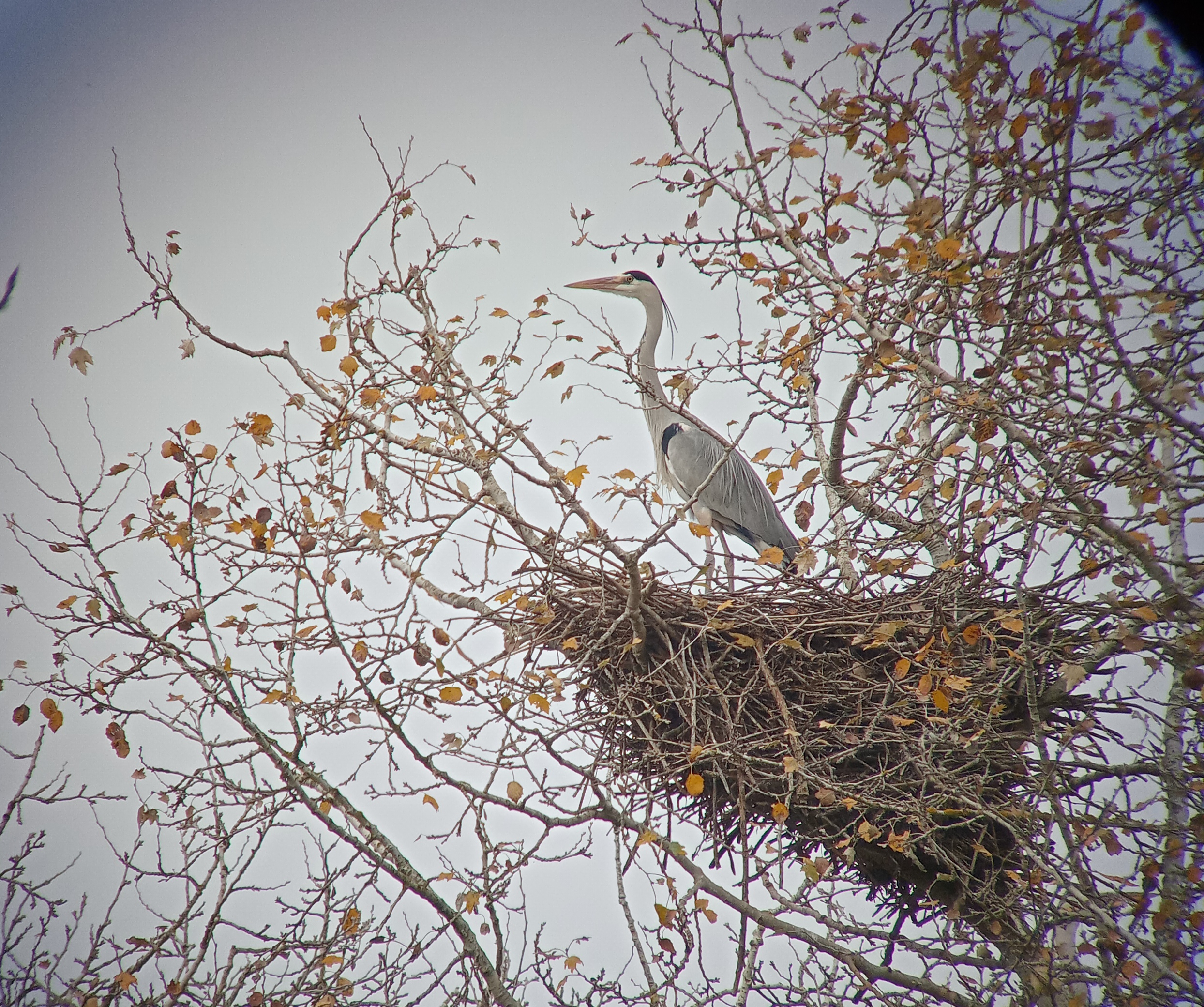 Foto: Maurizio Sterpi