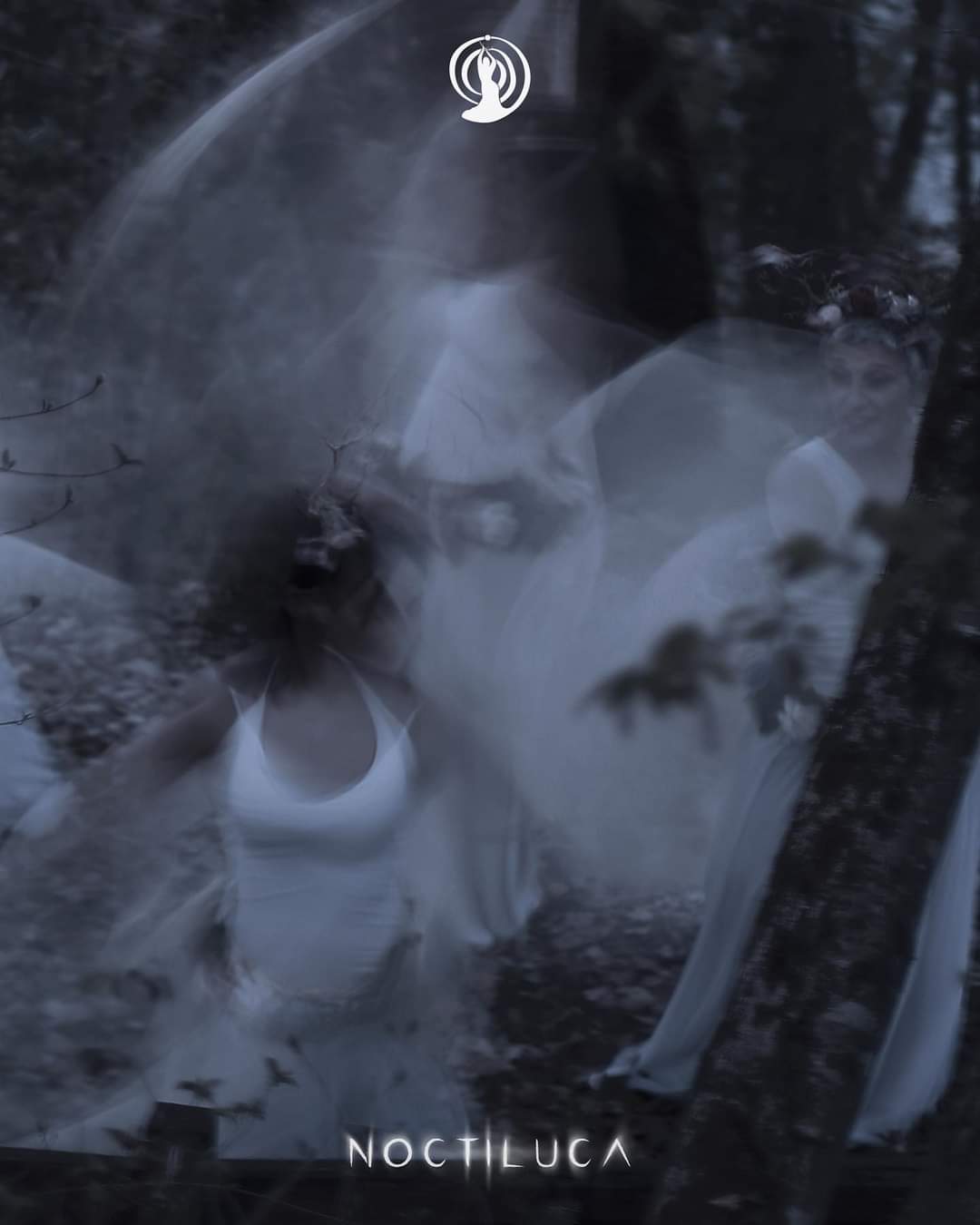 noctiluca