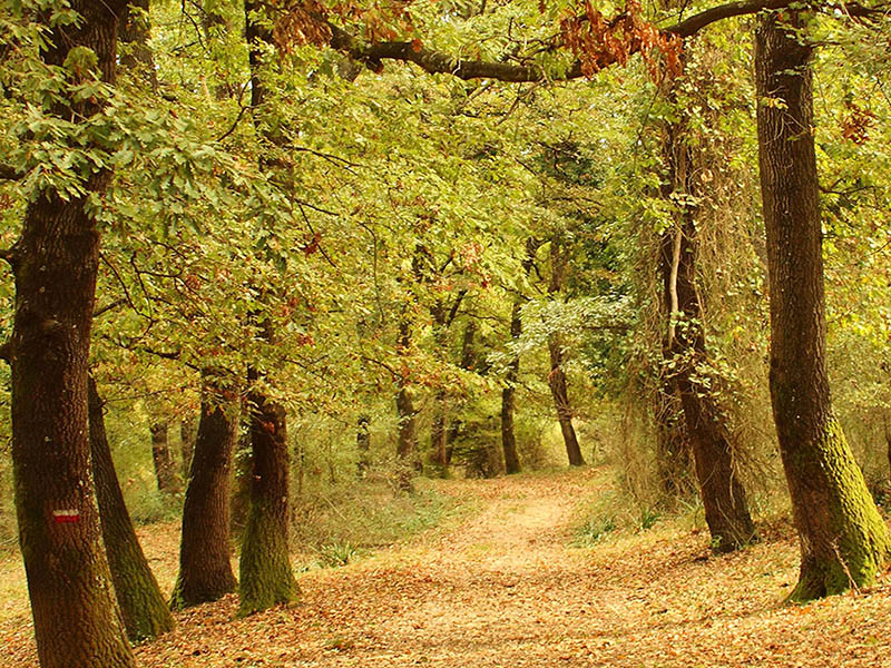 Escursione riserva Nomentum