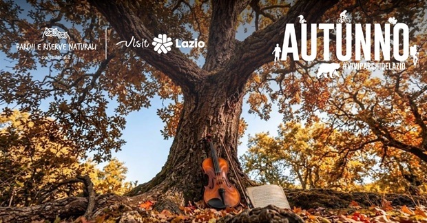 Note tra gli alberi