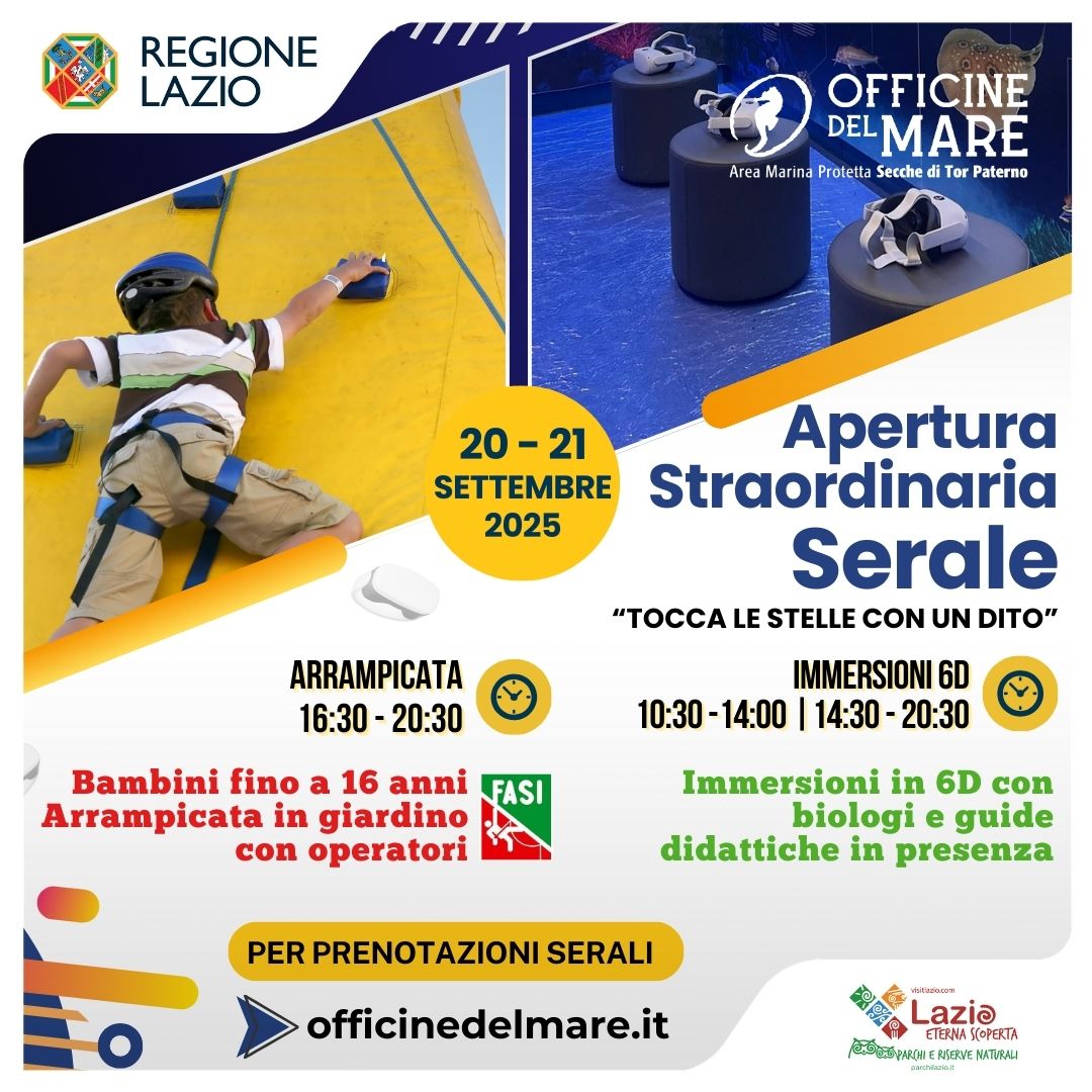 Tocca le stelle con un dito