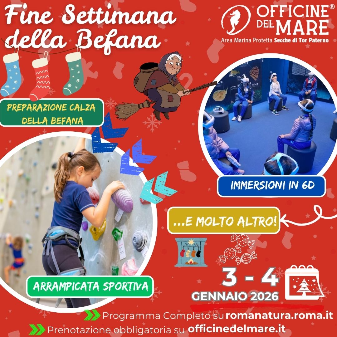 🎁 Fine settimana della Befana… tra mare, scoperte e magia! 🧙‍♀️🌊