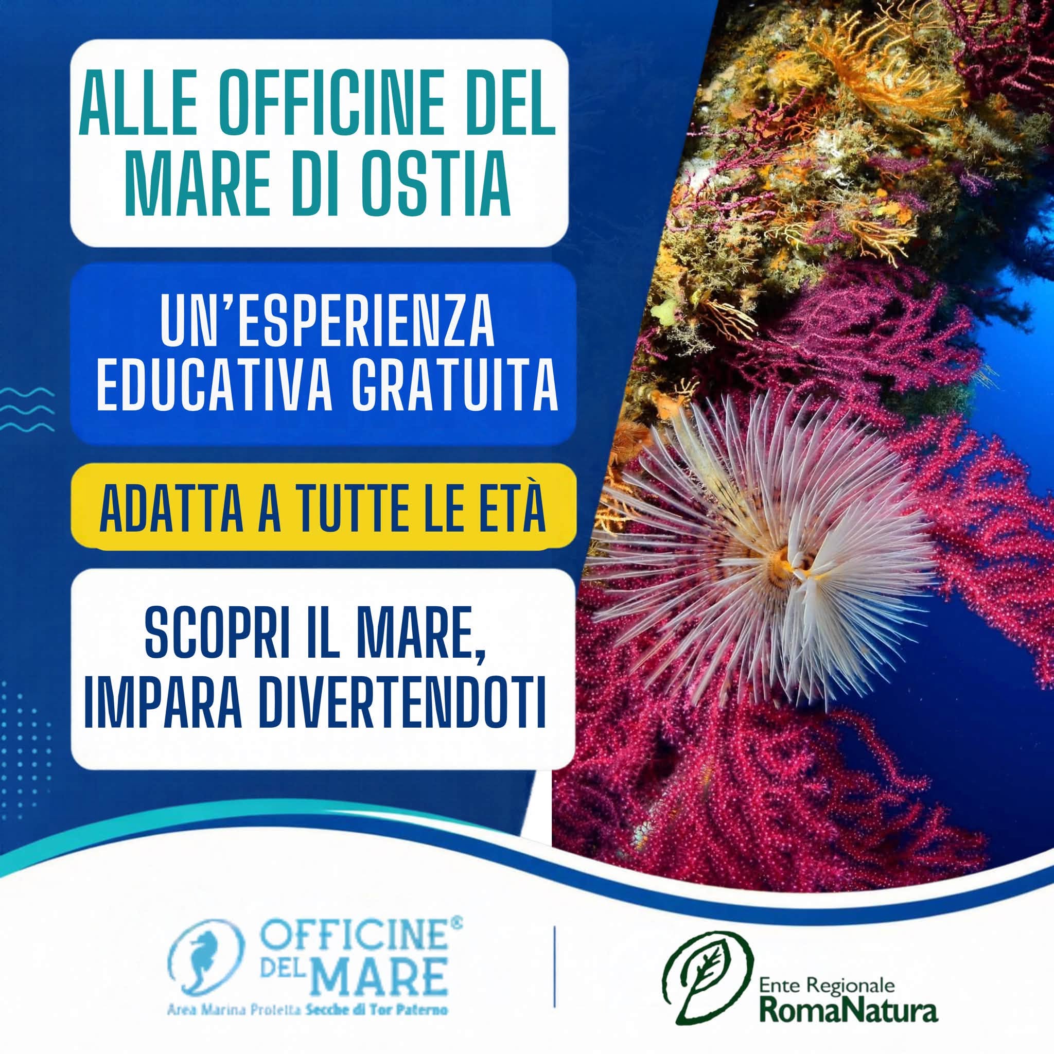 Scopri il mare di Roma: esperienze educative gratuite alle Officine del Mare di Ostia - 10 e 11 Ottobre