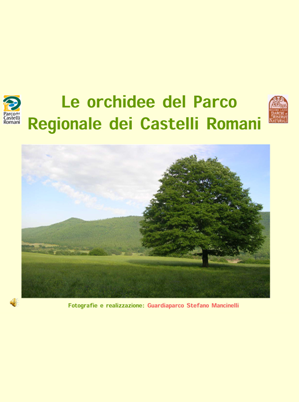 Le orchidee del Parco Regionale dei Castelli Romani