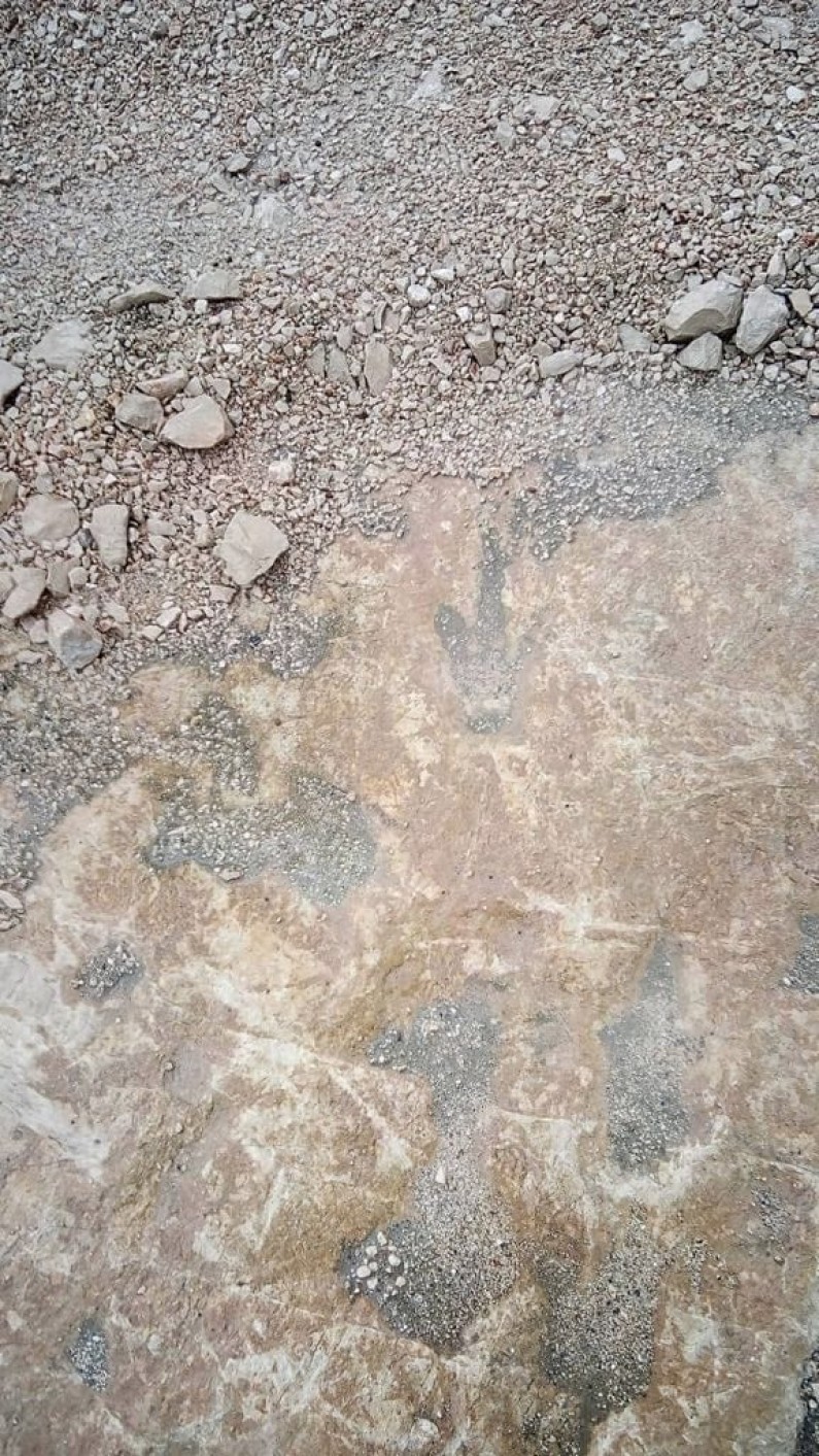 Orma di Dinosauro a Camposoriano