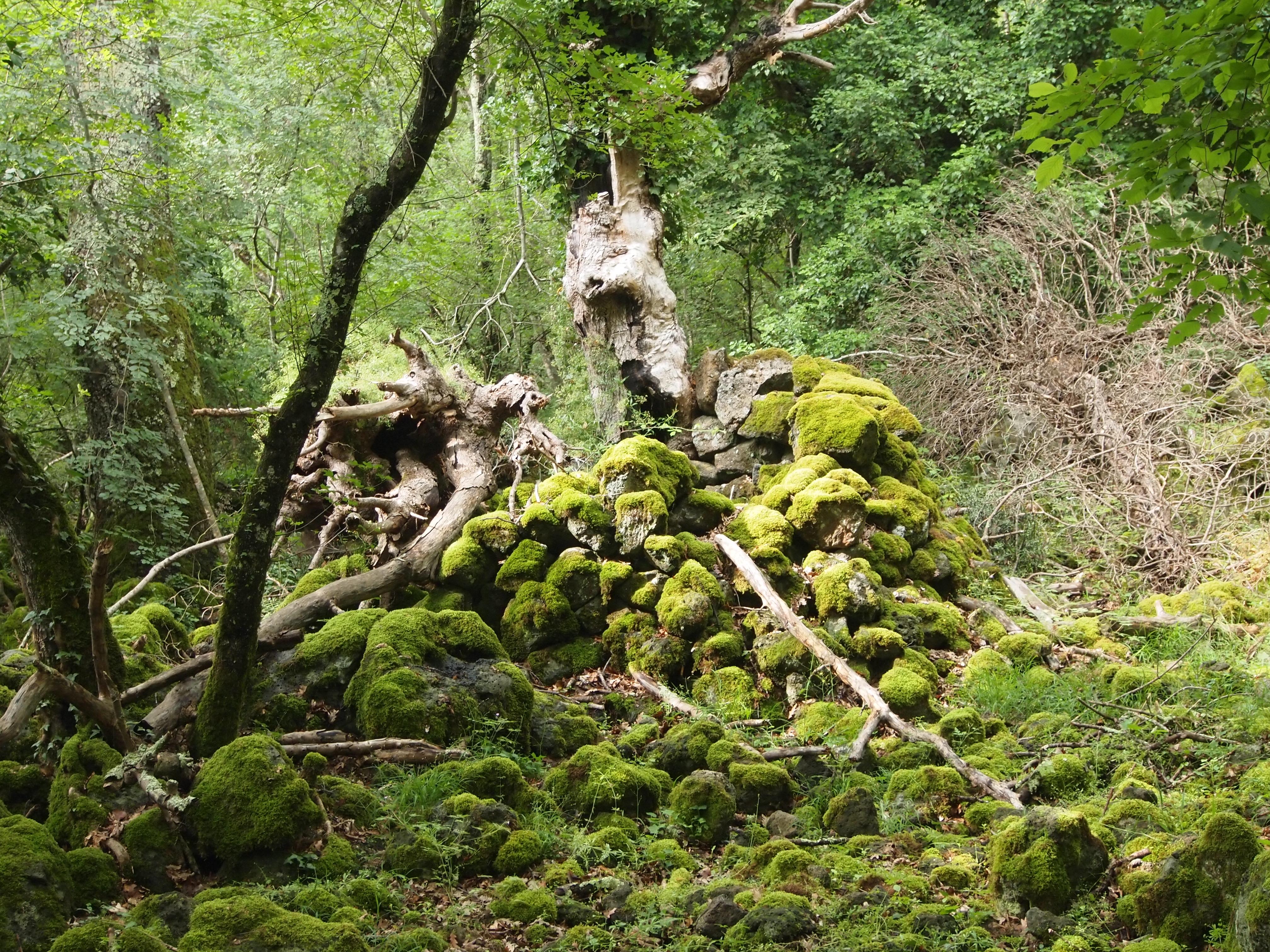 Foto: Andrea Schiavano