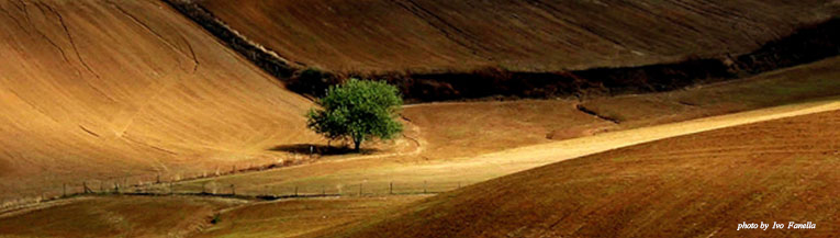 paesaggio - Giulianello