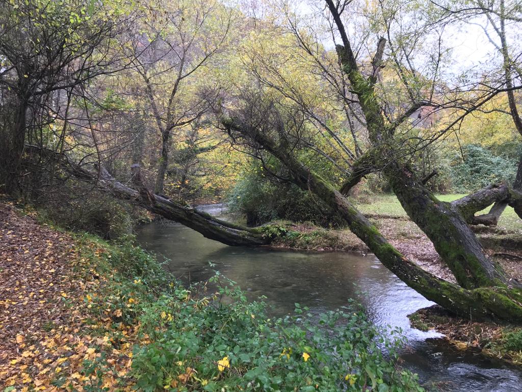 MTB 22. C/ Subiaco – La Panoramica