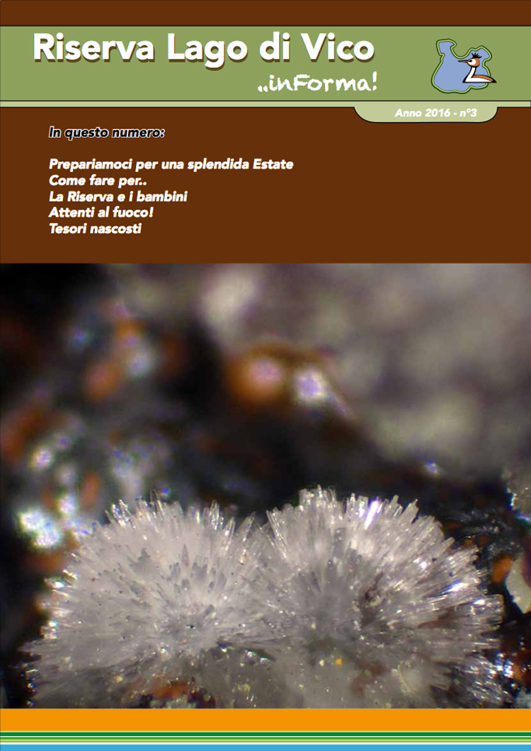 Riserva Lago di Vico.. Informa! numero 3/2016