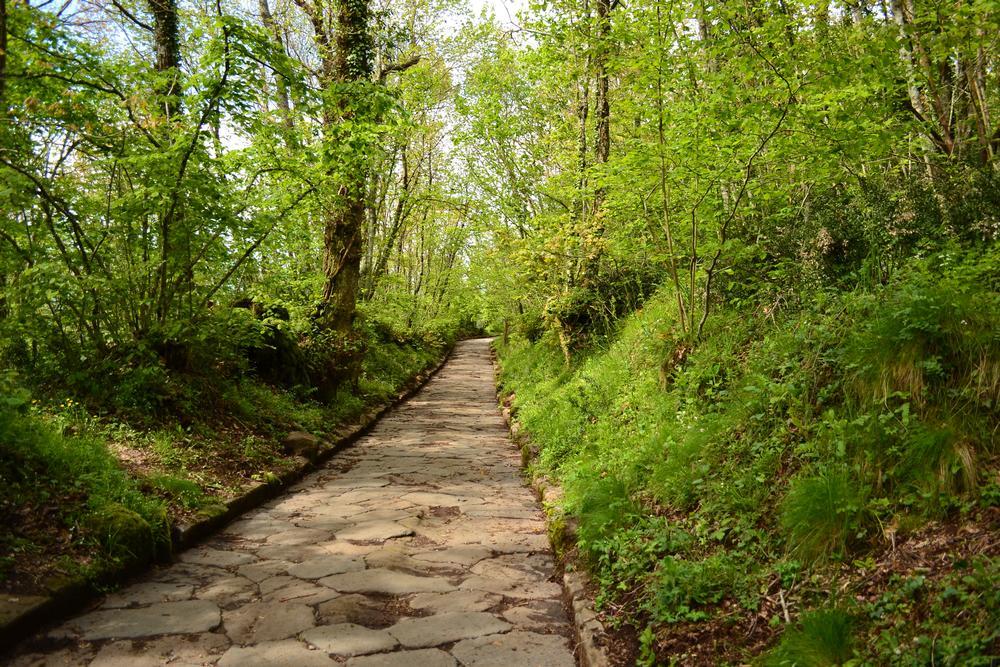 Un tratto della Via Sacra