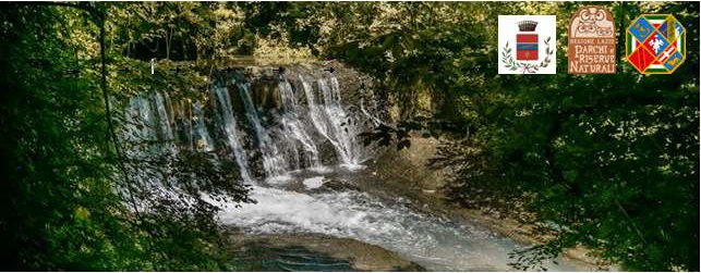 R-ESTATE A CORCHIANO" ConosciAMO il PARCO DELLE FORRE