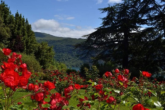 Fotografia di Daniela Russo Fiorillo