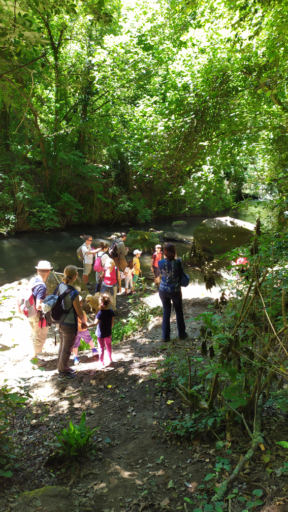 Un'escursione nel Parco - foto Midas Art e Craft