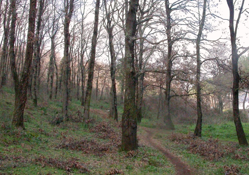 LA NATURA IN UNA GIACCA - TESORI NATURALI 2025