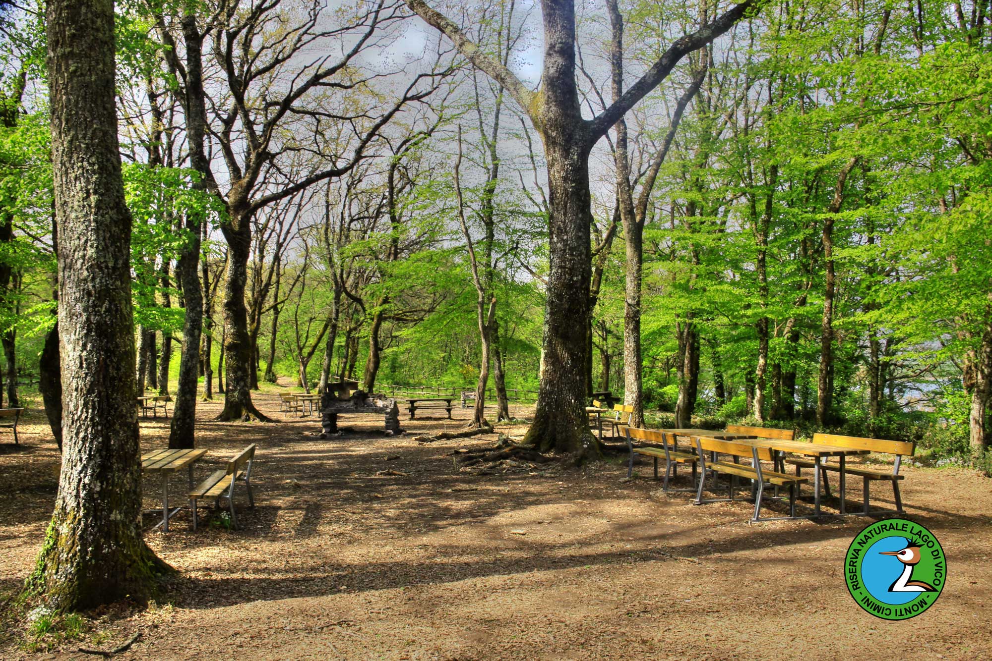 Area pic nic Lago di Vico 