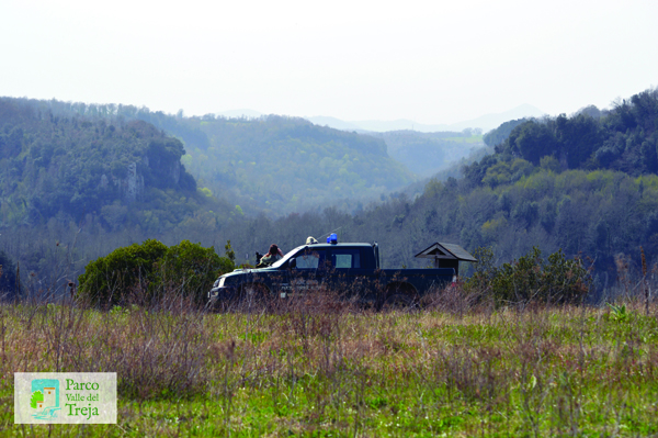 Monitoraggio di rapaci - foto Archivio Parco