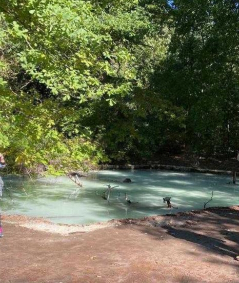 DOMENICHE D'AUTUNNO NEL PARCO<br /> "ACQUA: UN TESORO NASCOSTO"