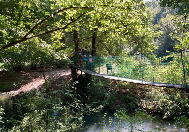 Ponte tibetano sul Treja - foto Le Mille e una Notte