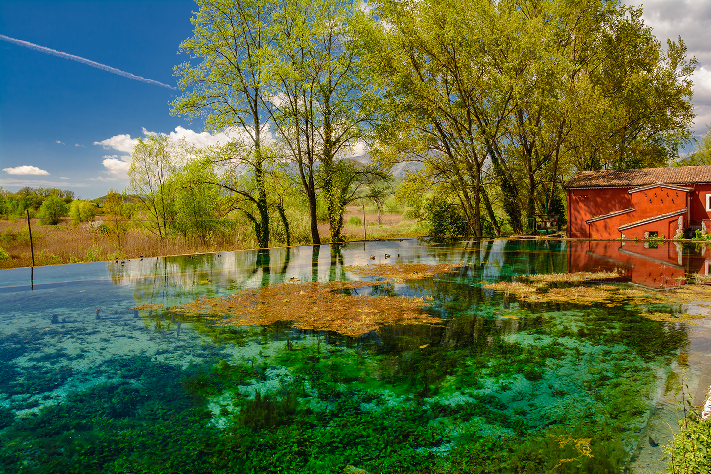 Foto di Luigi Miatti