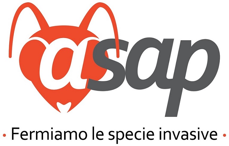 scarica il logo 