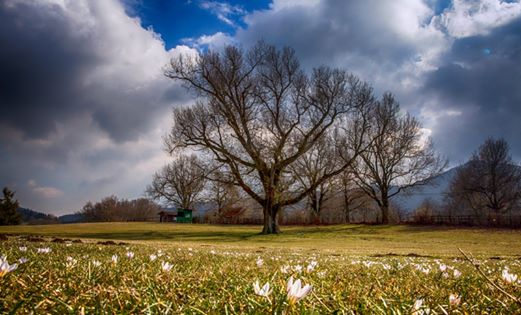Fotografia di Davide Calcagni