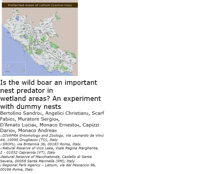 Is the wild boar an important nest predator in wetland areas? An experiment with dummy nests