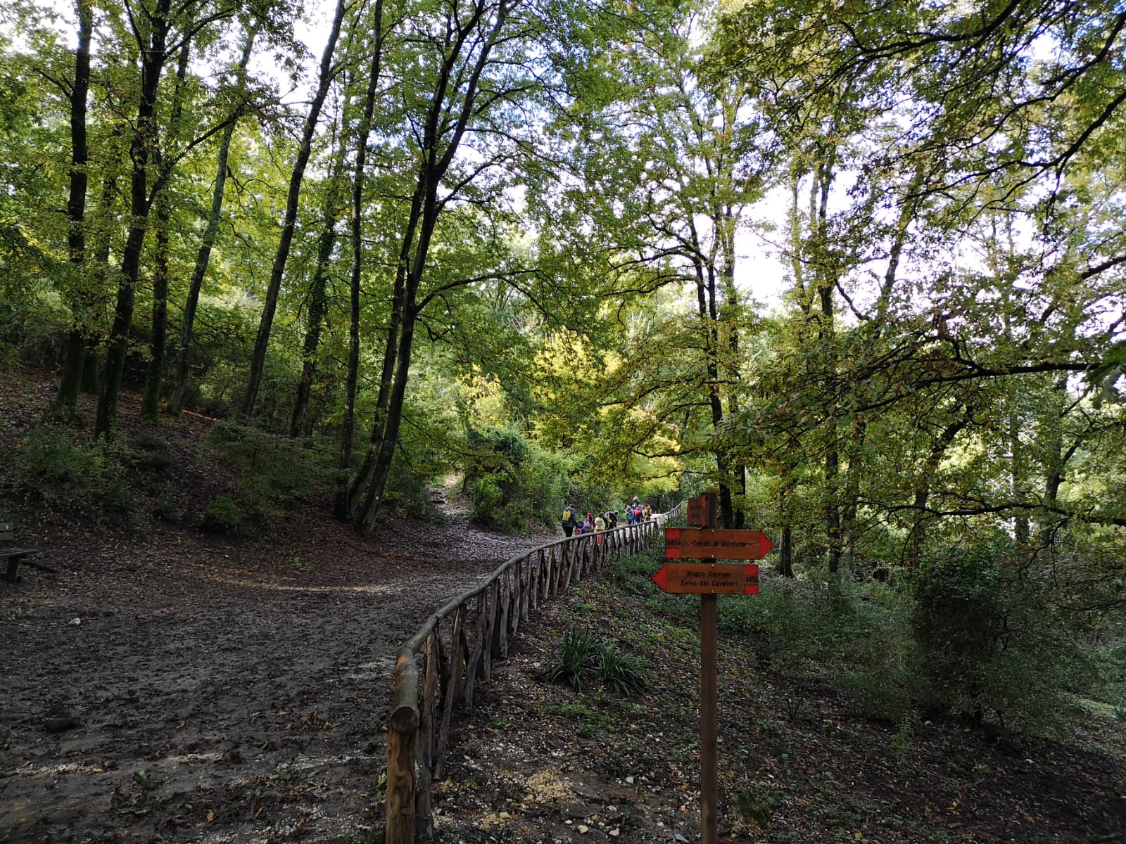 Visita autunnale in Riserva della 1 primaria della scuola Paolina Poggi di Mentana.