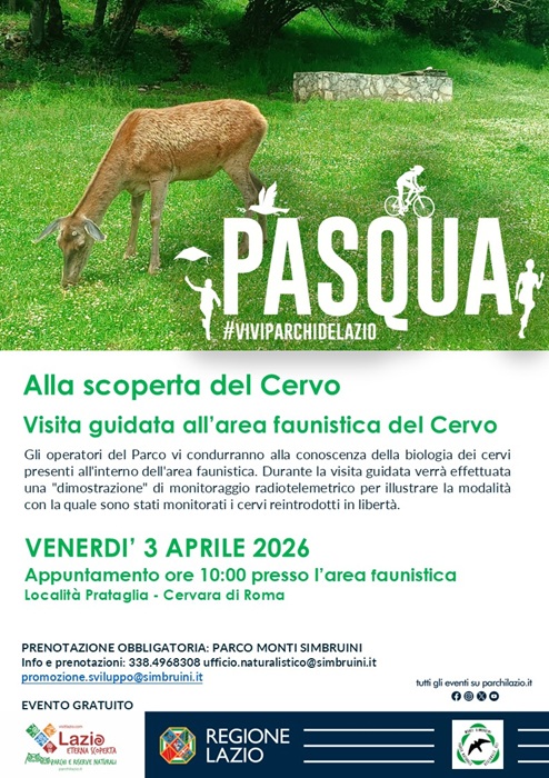 Alla scoperta del Cervo