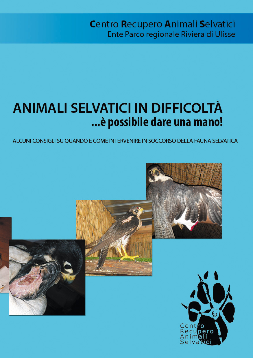 Animali selvatici in difficoltà ...è possibile dare una mano!