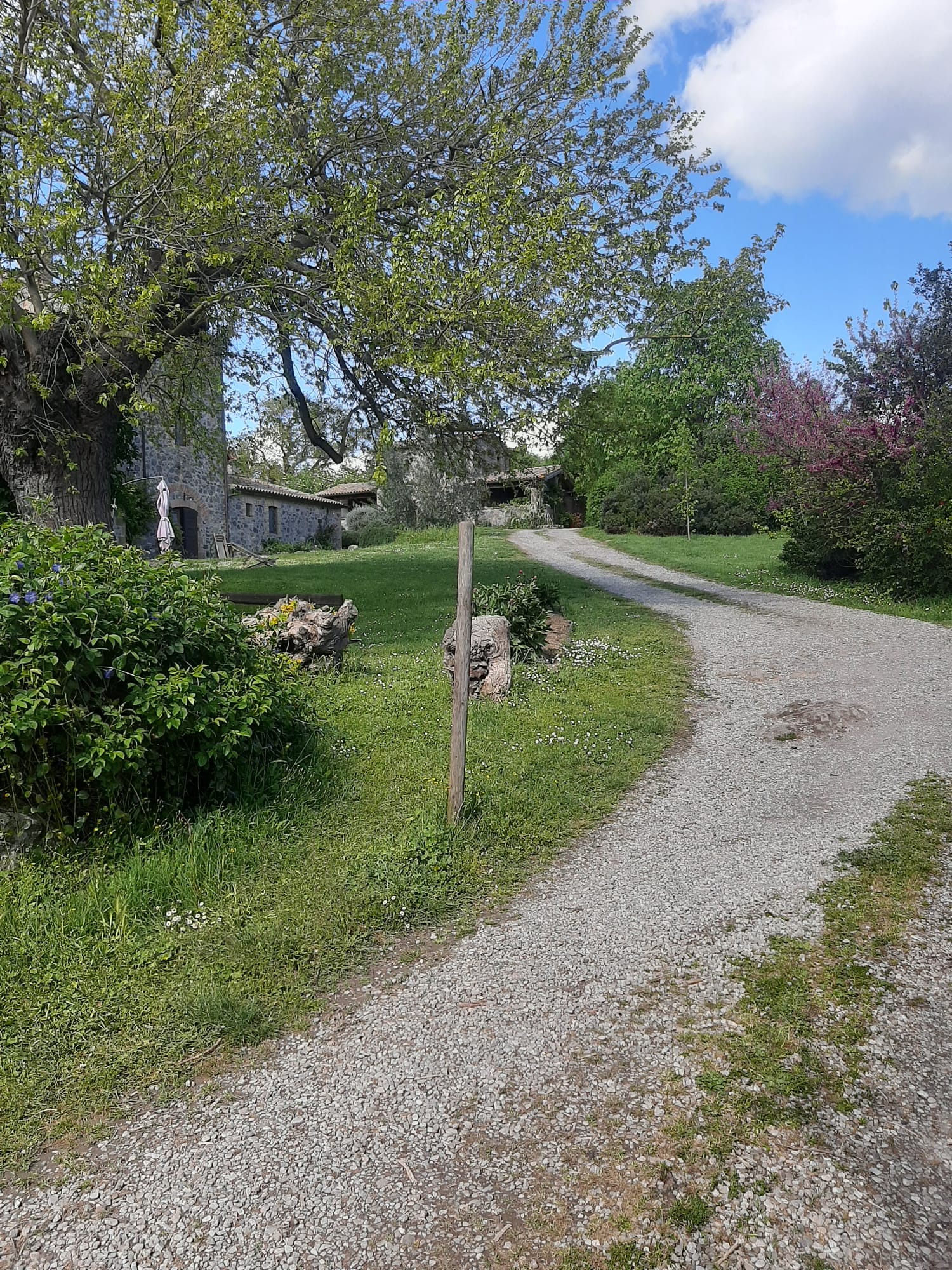 Edible Greens and Immersive Natural Classrooms