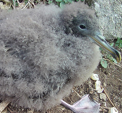 Foto di Nicola Baccetti