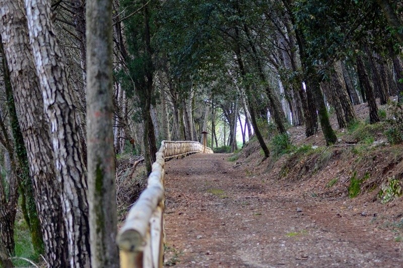 Rumori nella Notte: escursione notturna a Valletonda