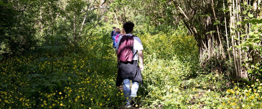 Foto AUT Vita sotto gli alberi