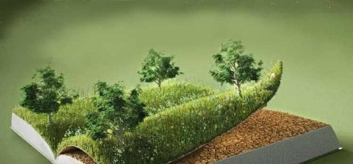 Il viandante sulle mappe – Respirare con gli alberi - TESORI NATURALI 2025