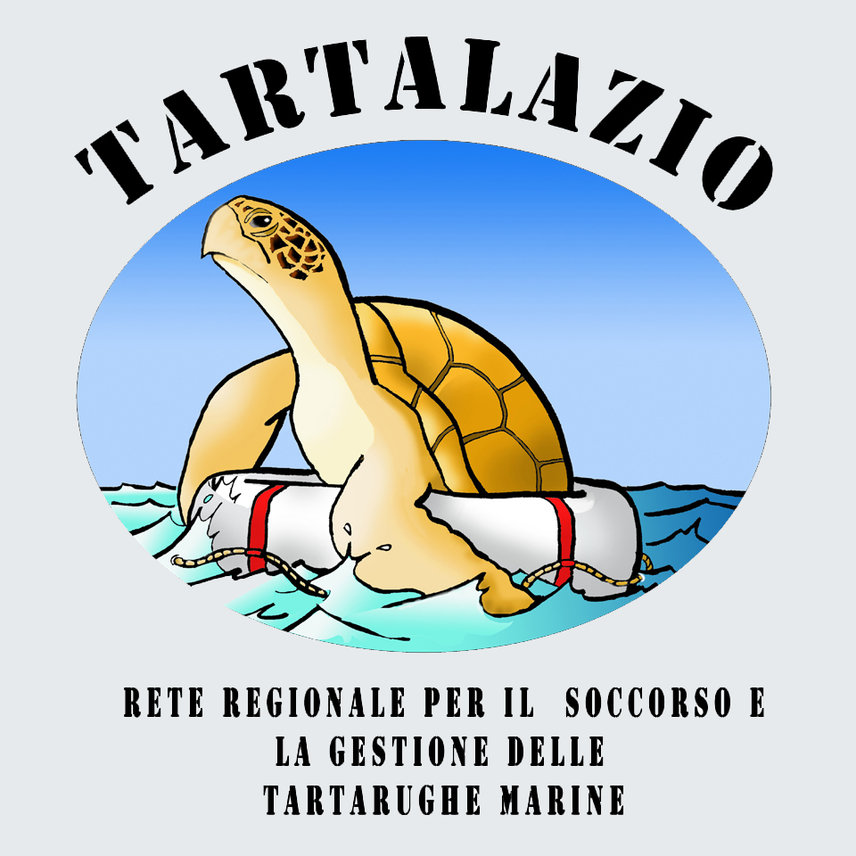 Regione Lazio, Guardia di Finanza e Zoomarine rimettono in mare Gui