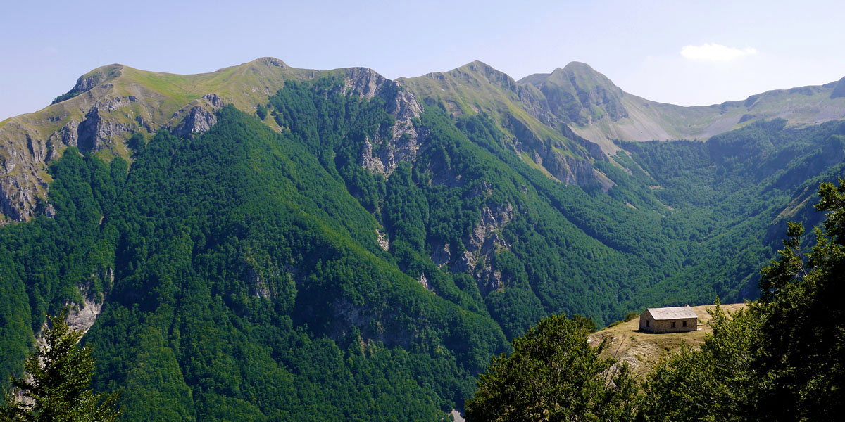 Rifugio porcini Posta (Ri)