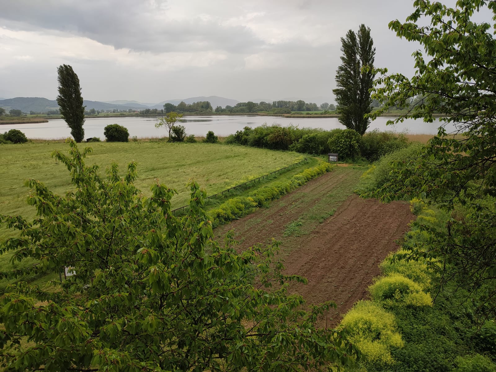 Ripasottile maggio 2023