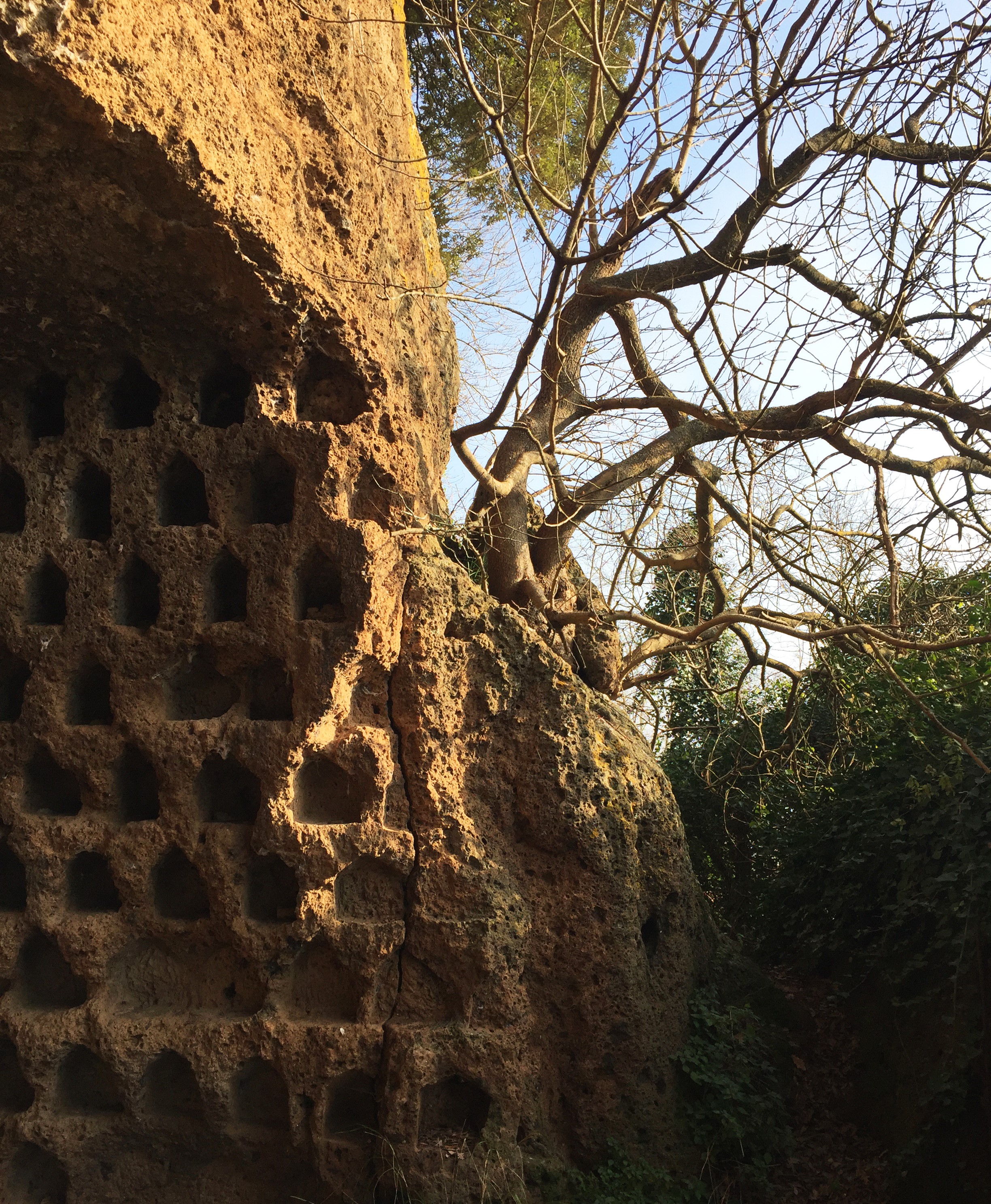 Dal 23 al 30 giugno evento "Parchi in Musica": natura e note per valorizzare il nostro territorio.