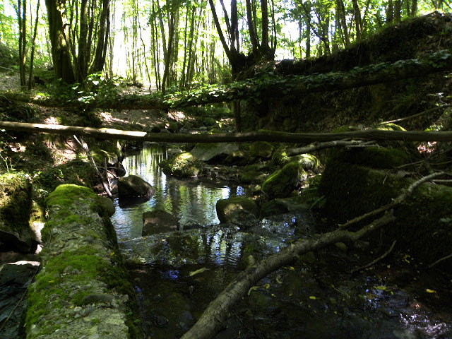 I Sensi della Natura