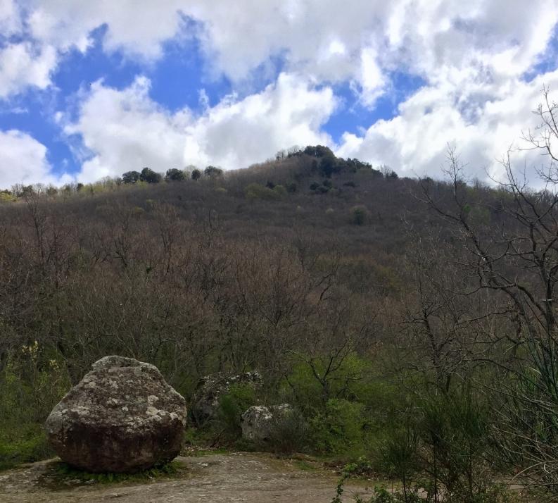 Dal 23 al 30 giugno evento "Parchi in Musica": natura e note per valorizzare il nostro territorio.