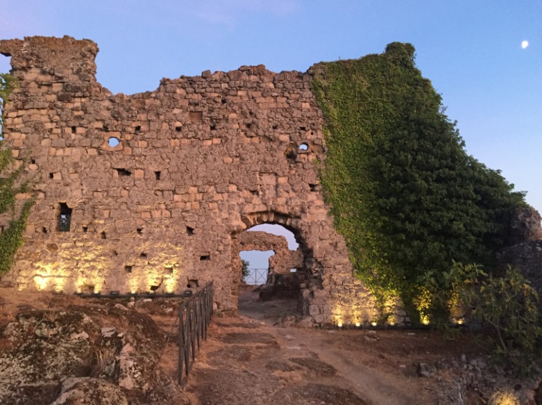 DA TREVIGNANO ALLA ROCCA - TESORI NATURALI 2025
