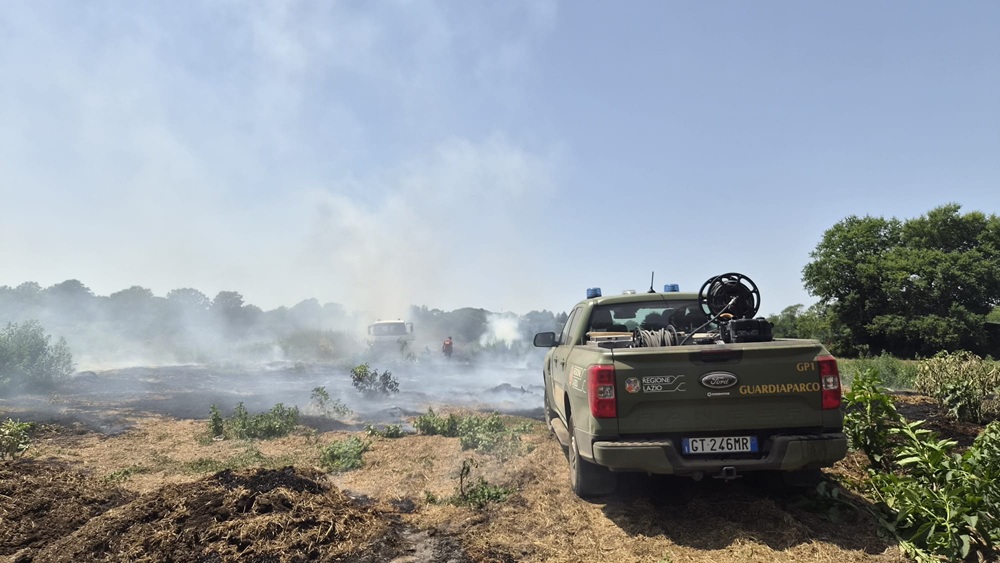 Incendi ai Castelli Romani, l'intervento dei Guardiaparco