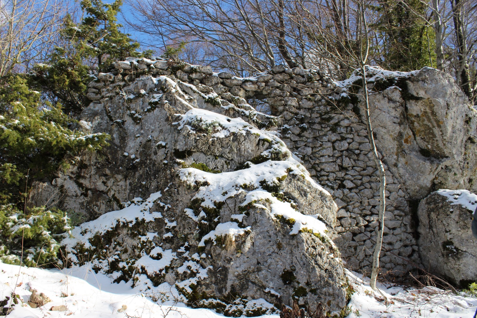 Ruderi di Mirandella