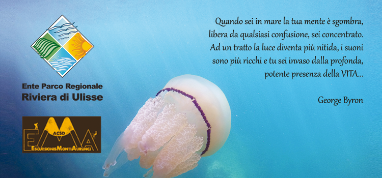 Banner dell'iniziativa